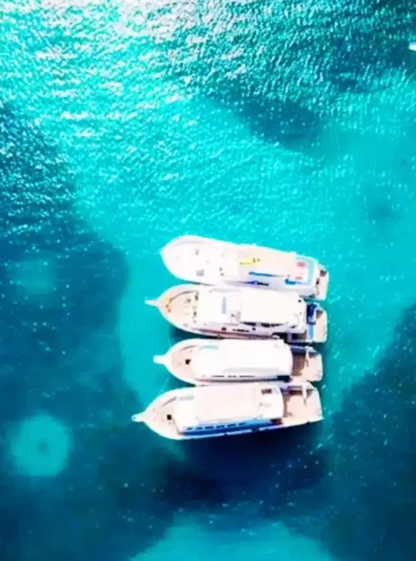 island-trips