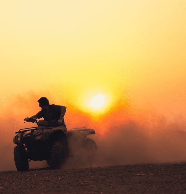 safari
